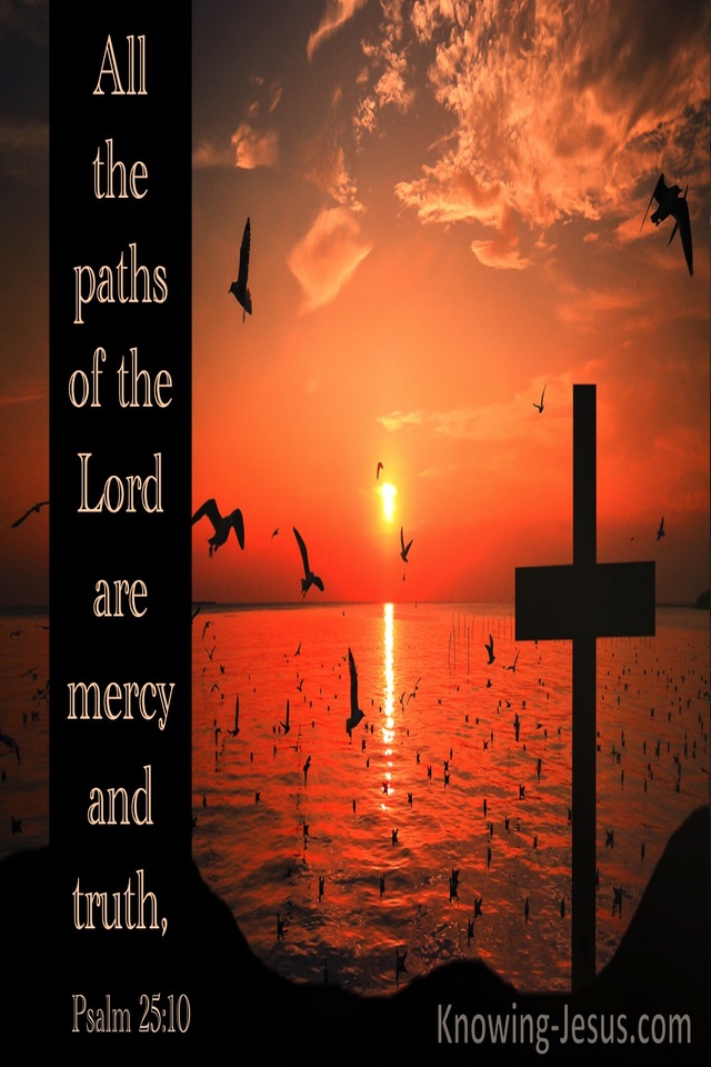 Psalm 25:10 All The Paths Of The Lord Are Mercy  And Truth (orange)